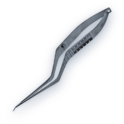 Ear