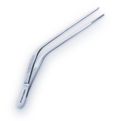 Ear