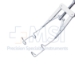 Lieberman Nasal K-Wire Speculum, Adult, Adjustable Mechanism, Kratz-Style Open Wire Blades, Angled Upward For The Bridge The Nose, Blade Length 15mm, Overall Length 3" (76mm) - 11-2-6782-N