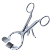 Molt Mouth Gag, Adult, Large 