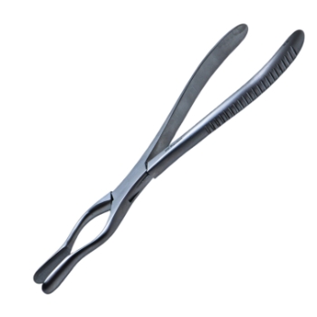 Walsham Septum Straighting Forceps, Straight, Overall Length 9" (23cm) 